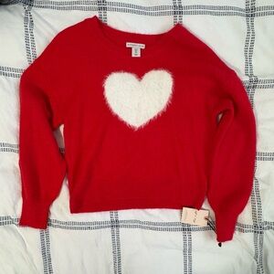 Red Heart Sweater
